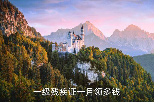 一級(jí)殘疾證一月領(lǐng)多錢