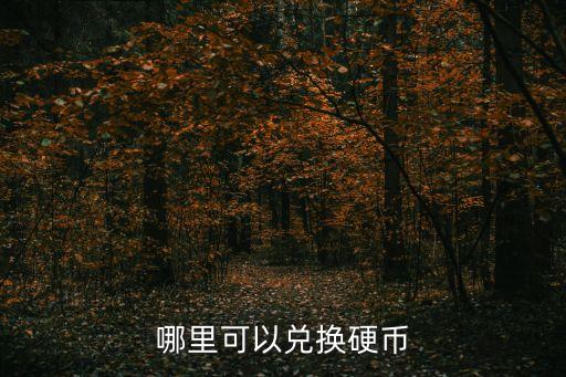 哪里可以換硬幣，哪里可以換硬幣