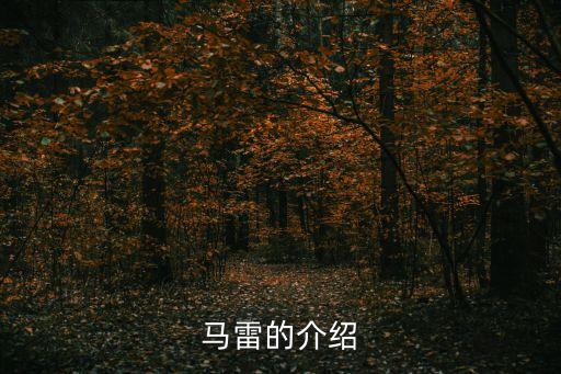 馬雷，傻妞歸來(lái)里的馬雷到底是誰(shuí)2007年有他嗎如果有2007年馬雷又叫