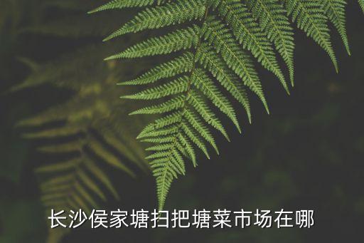長沙侯家塘掃把塘菜市場在哪