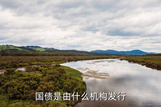國(guó)債是由什么機(jī)構(gòu)發(fā)行