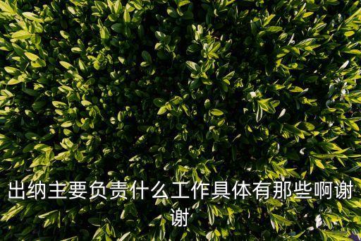 出納是做什么工作，出納的具體工作有哪些
