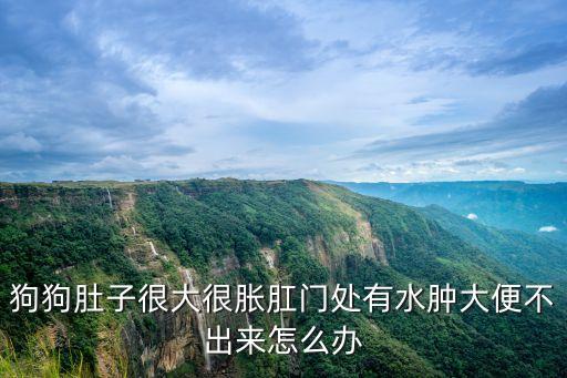 狗狗肚子很大很脹肛門處有水腫大便不出來怎么辦
