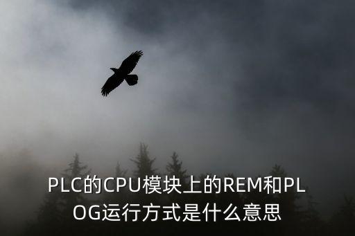 PLC的CPU模塊上的REM和PLOG運行方式是什么意思
