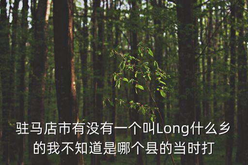 駐馬店市有沒(méi)有一個(gè)叫Long什么鄉(xiāng)的我不知道是哪個(gè)縣的當(dāng)時(shí)打