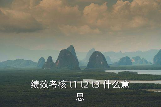 績效考核 t1 t2 t3 什么意思
