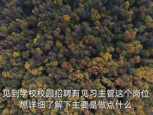 見習崗，見到學校校園招聘有見習主管這個崗位想詳細了解下主要是做點什么