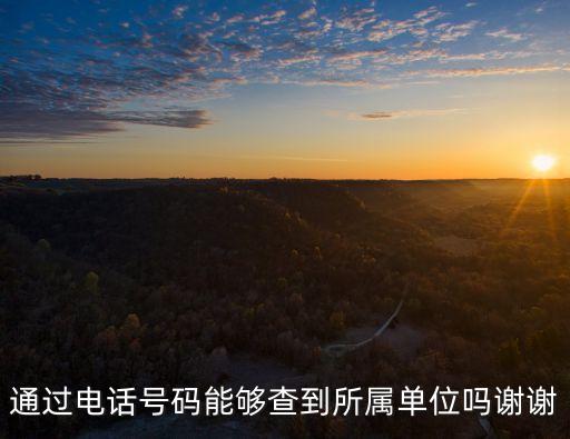 單位查詢(xún)，中國(guó)工商局企業(yè)查詢(xún)要怎么查詢(xún)的