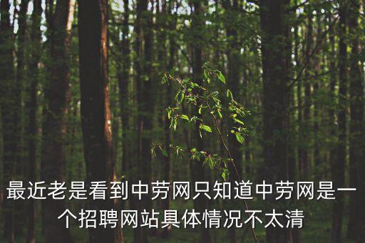 中勞網(wǎng)，選擇中勞網(wǎng)招工不再難