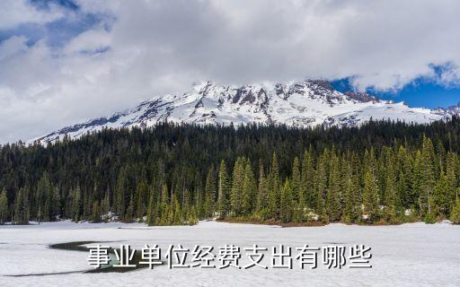 事業(yè)支出，事業(yè)支出與事業(yè)單位支出有區(qū)別嗎