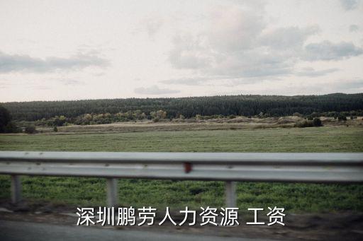 鵬勞，深圳市鵬勞人力資源管理有限公司 要收費嗎