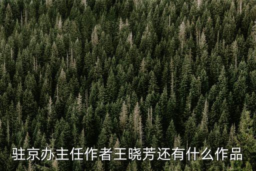 王曉芳，聚商圈是誰創(chuàng)建的