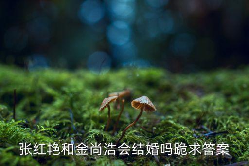 張紅艷，張紅艷和金尚浩會(huì)結(jié)婚嗎跪求答案