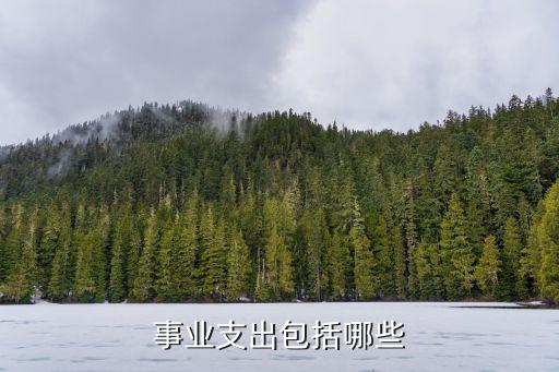事業(yè)支出包括哪些