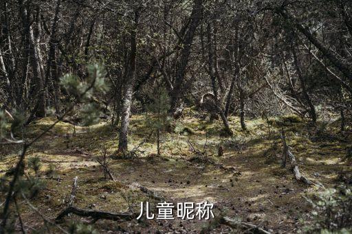 兒童名字，給寶寶起名字