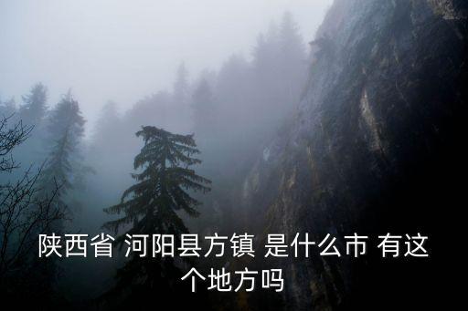 陜西省 河陽縣方鎮(zhèn) 是什么市 有這個地方嗎