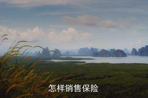 怎樣銷售保險(xiǎn)