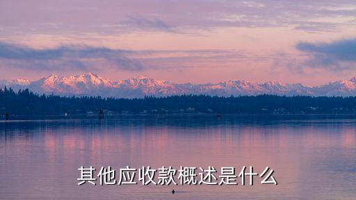 其他應(yīng)收款，其他應(yīng)收款的概念是什么