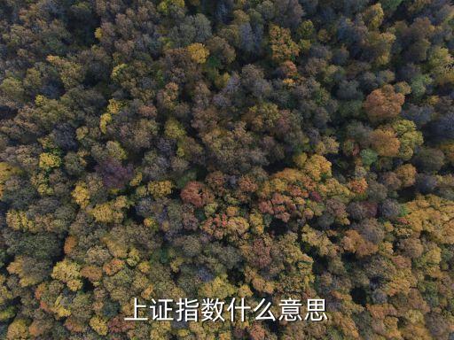 上證指數(shù)是什么意思，請簡潔明了的說下上證指數(shù)什么意思