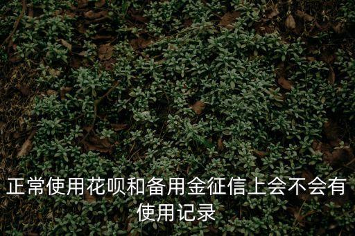 正常使用花唄和備用金征信上會不會有使用記錄