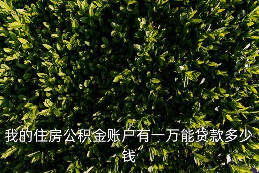 公積金賬戶(hù)有1萬(wàn)可以貸款多少，公積金帳戶(hù)有一萬(wàn)可以貸款多少