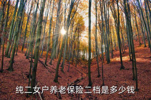 深圳社保二檔繳費多少，深圳按2130二擋社保應交多少錢
