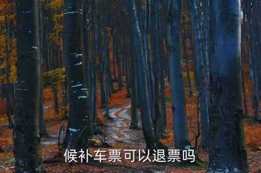 候補車票可以退票嗎