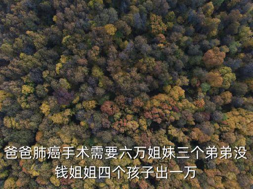 六萬姐，2011快樂女聲11強中萬姐是誰小鬼又是誰
