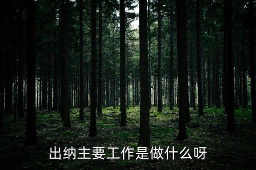 出納主要工作是做什么呀