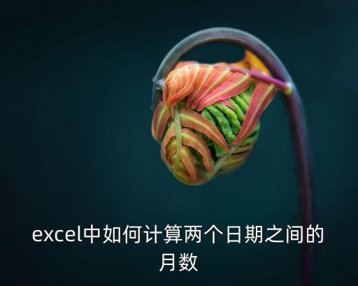 月數(shù)計(jì)算，excel中如何計(jì)算兩個(gè)日期之間的月數(shù)