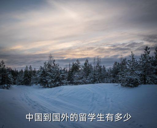 外國留學(xué)生，中國到國外的留學(xué)生有多少