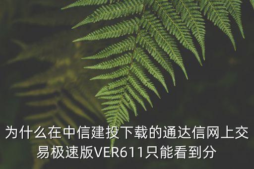 為什么在中信建投下載的通達信網(wǎng)上交易極速版VER611只能看到分