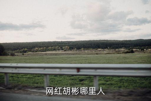 網(wǎng)紅胡彬哪里人