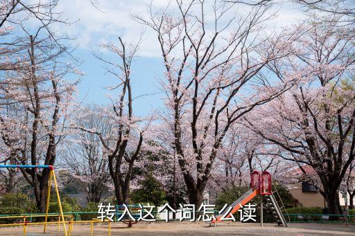 轉(zhuǎn)入這個(gè)詞怎么讀