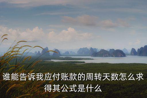 應付賬款周轉(zhuǎn)次數(shù)，工程造價應付賬款周轉(zhuǎn)次數(shù)怎么理解