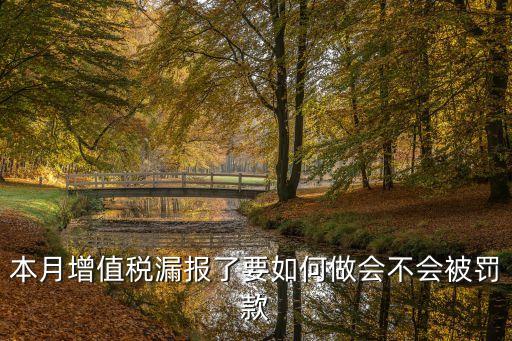 本月增值稅漏報(bào)了要如何做會不會被罰款
