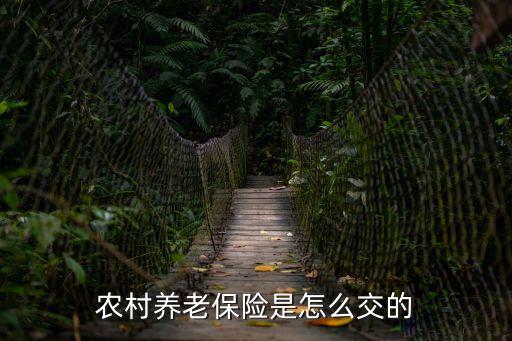 農(nóng)村養(yǎng)老保險是怎么交的