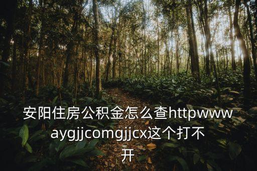 安陽住房公積金怎么查httpwwwaygjjcomgjjcx這個(gè)打不開