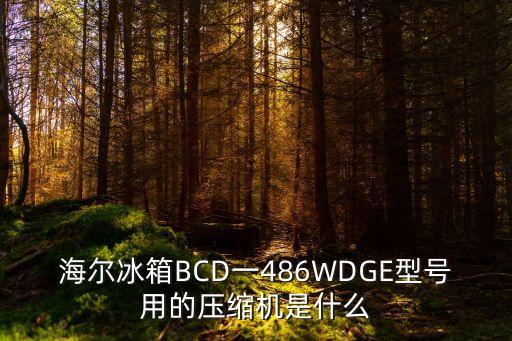 海爾冰箱BCD一486WDGE型號用的壓縮機(jī)是什么