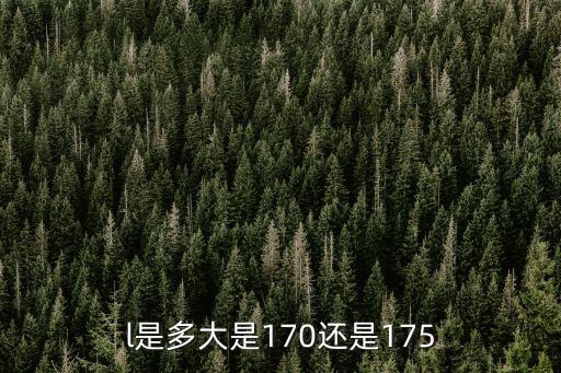 l是多大是170還是175