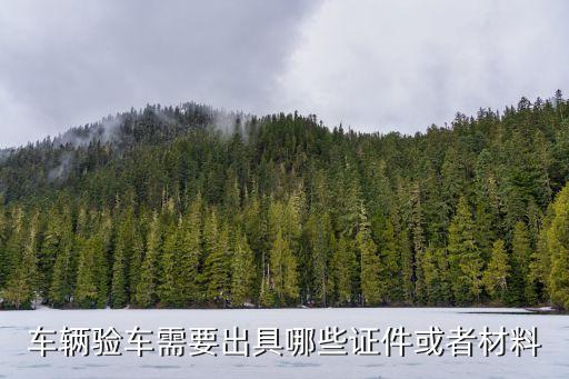 驗(yàn)車需要什么資料，車輛驗(yàn)車需要出具哪些證件或者材料