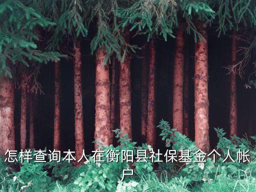 怎樣查詢本人在衡陽縣社?；饌€人帳戶