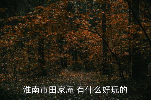 淮南田家庵，淮南市田家庵 有什么好玩的
