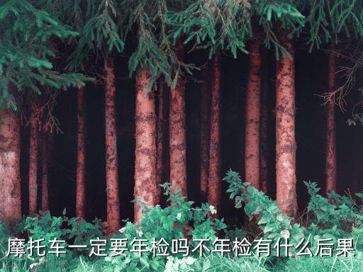 摩托車一定要年檢嗎不年檢有什么后果