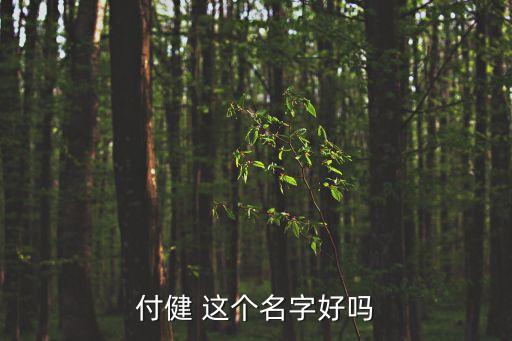 付健，武漢江夏健齒園口腔門診部的付健醫(yī)生水平怎么樣