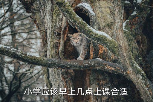 小學(xué)應(yīng)該早上幾點(diǎn)上課合適