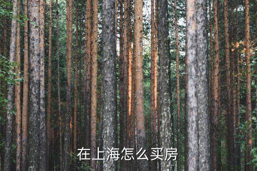 上海買房，在上海怎么買房