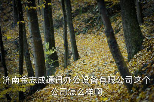 濟南金志成通訊辦公設備有限公司這個公司怎么樣啊