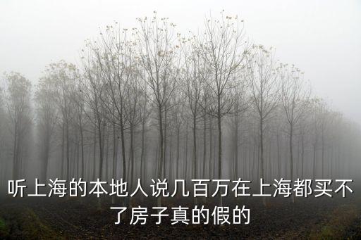 500萬在上海能買房嗎，500萬能在上海買100平方米的房子嗎