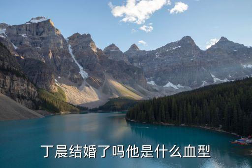 丁晨，誰有麥霸丁晨資料急急急